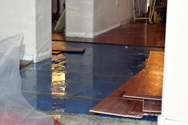 Professional Sewage Cleanup technician working in Noble, OK